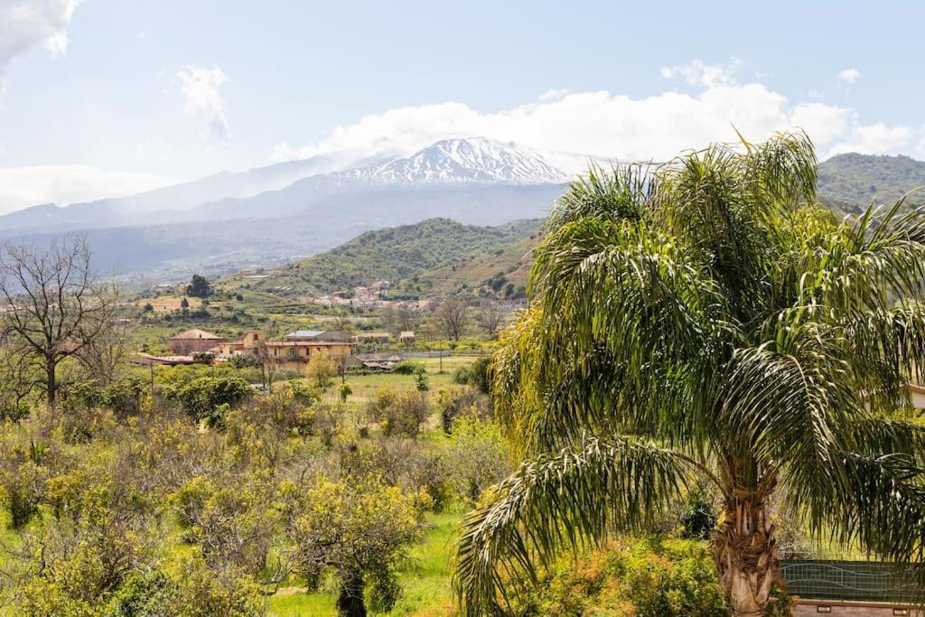 Villa Graziosa Trappitello Esterno foto